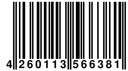 4 260113 566381