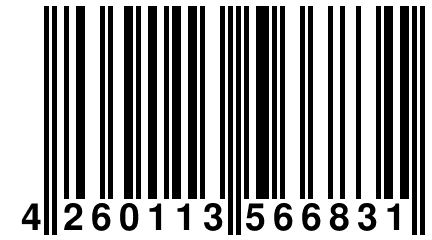 4 260113 566831