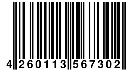 4 260113 567302