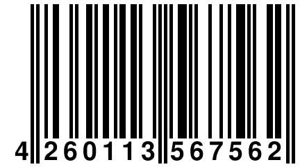 4 260113 567562