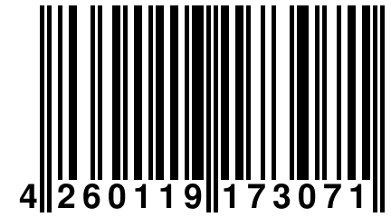 4 260119 173071