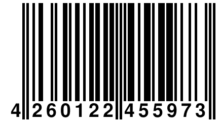 4 260122 455973