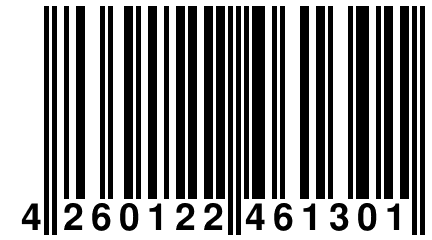 4 260122 461301