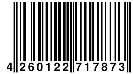 4 260122 717873
