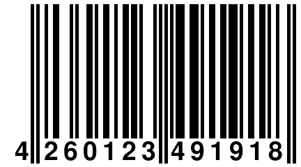 4 260123 491918