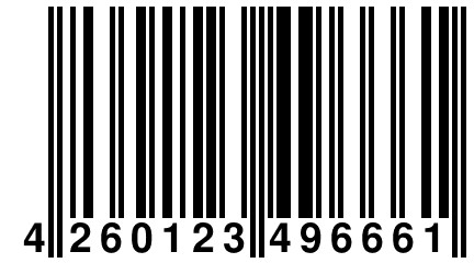 4 260123 496661
