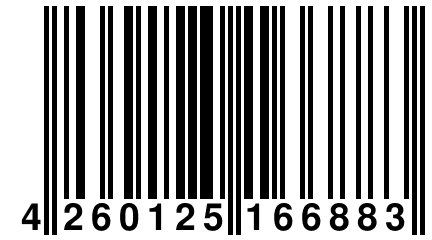 4 260125 166883