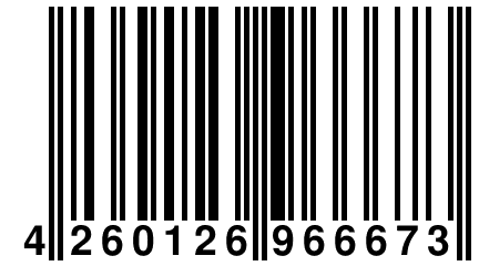 4 260126 966673