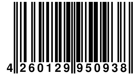 4 260129 950938