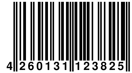 4 260131 123825