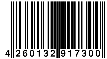 4 260132 917300