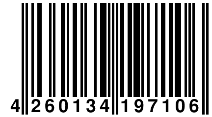 4 260134 197106