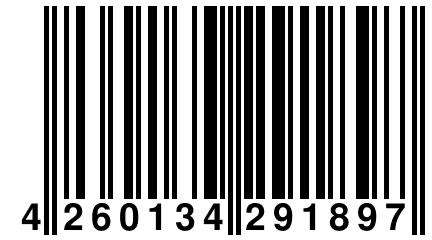 4 260134 291897