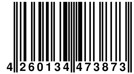 4 260134 473873