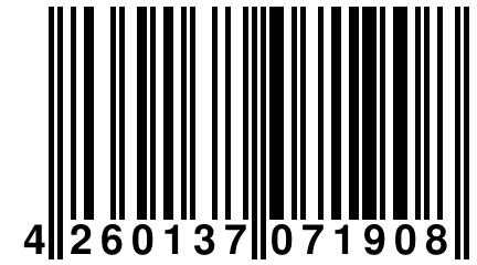 4 260137 071908