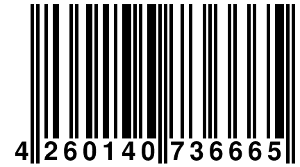 4 260140 736665