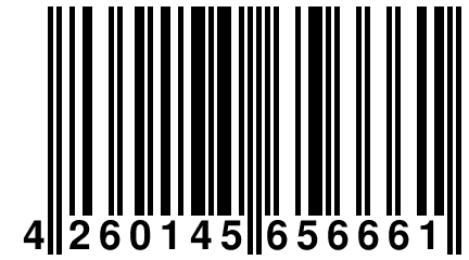4 260145 656661