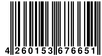 4 260153 676651