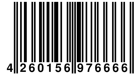 4 260156 976666