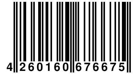 4 260160 676675