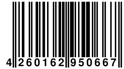4 260162 950667