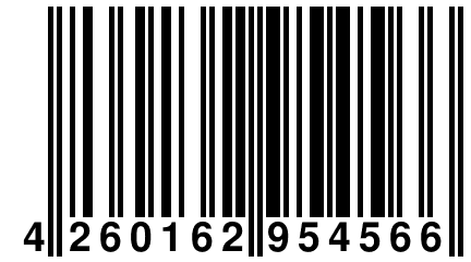 4 260162 954566