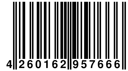 4 260162 957666