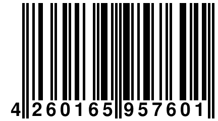 4 260165 957601