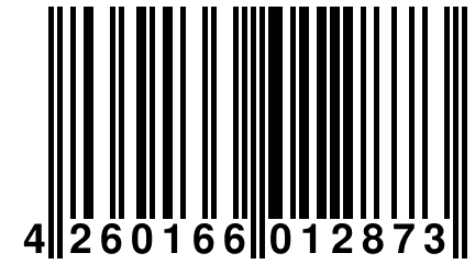 4 260166 012873