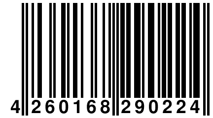 4 260168 290224
