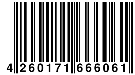 4 260171 666061