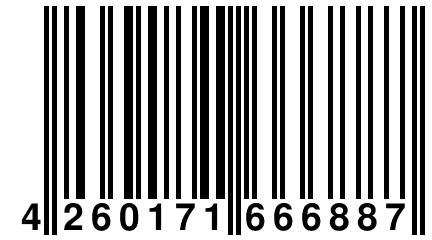 4 260171 666887