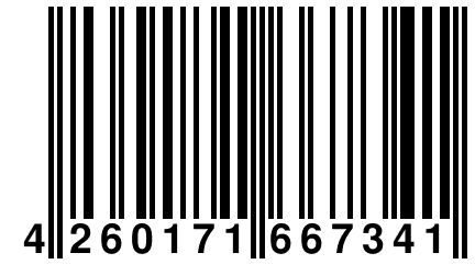 4 260171 667341