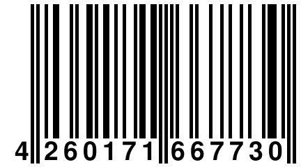 4 260171 667730