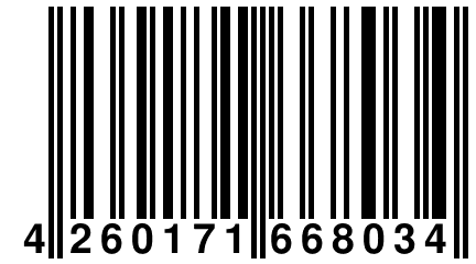 4 260171 668034