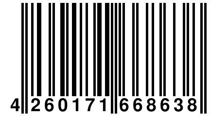 4 260171 668638