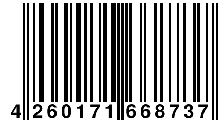 4 260171 668737