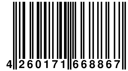 4 260171 668867