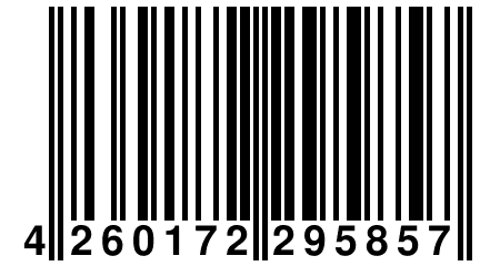 4 260172 295857