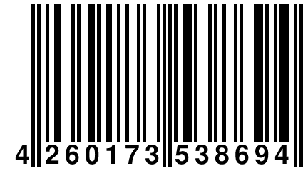 4 260173 538694