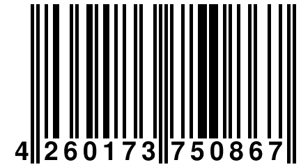 4 260173 750867