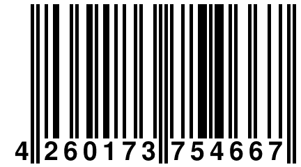 4 260173 754667
