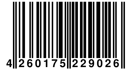 4 260175 229026