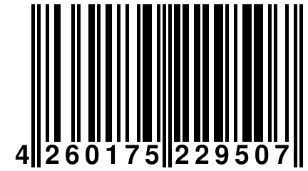 4 260175 229507