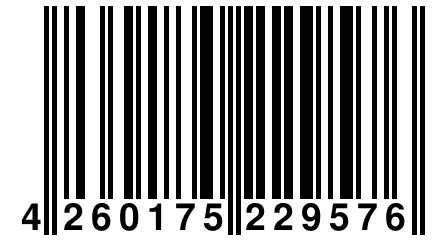 4 260175 229576