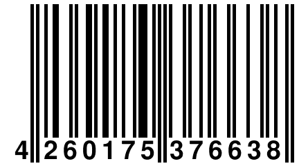4 260175 376638