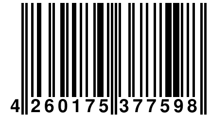 4 260175 377598