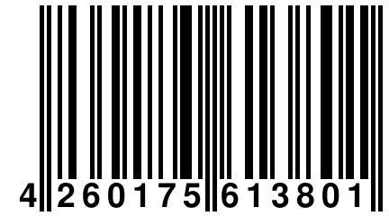 4 260175 613801
