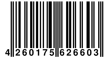 4 260175 626603