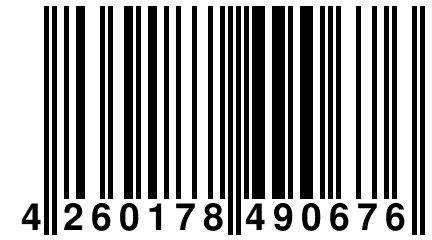 4 260178 490676